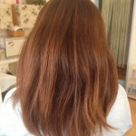 インカラミトリートメントbefore